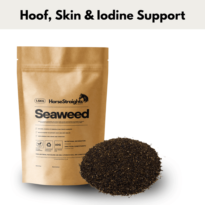 Seaweed - Ashurst Equestrian & Country