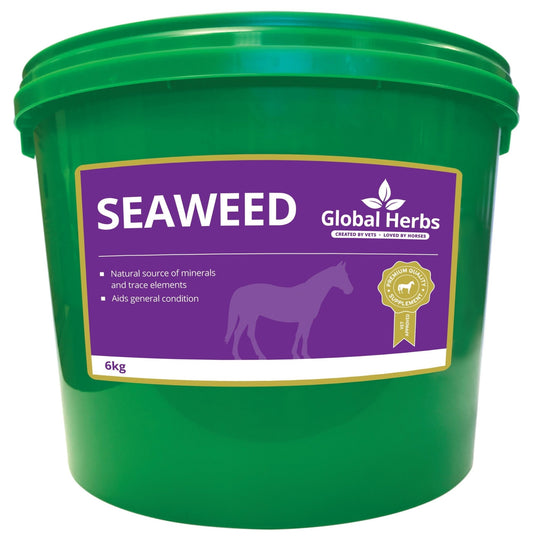 Seaweed - Global Herbs - Ashurst Equestrian & Country