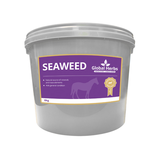 Seaweed - Global Herbs - Ashurst Equestrian & Country