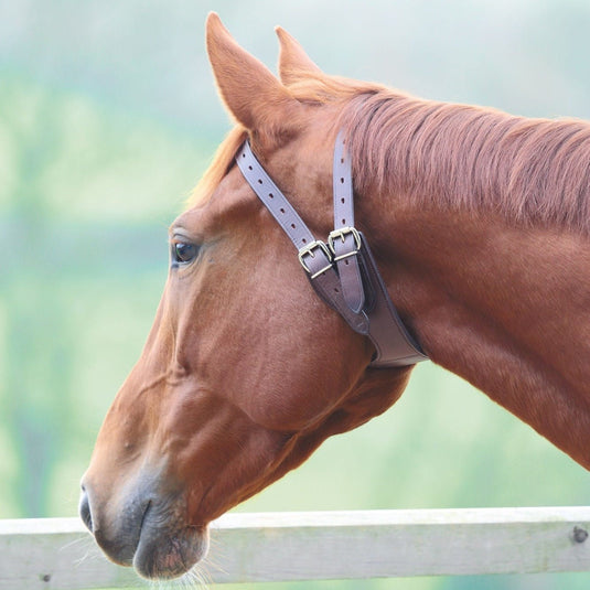Shires Anti-Crib Collar - Ashurst Equestrian & Country