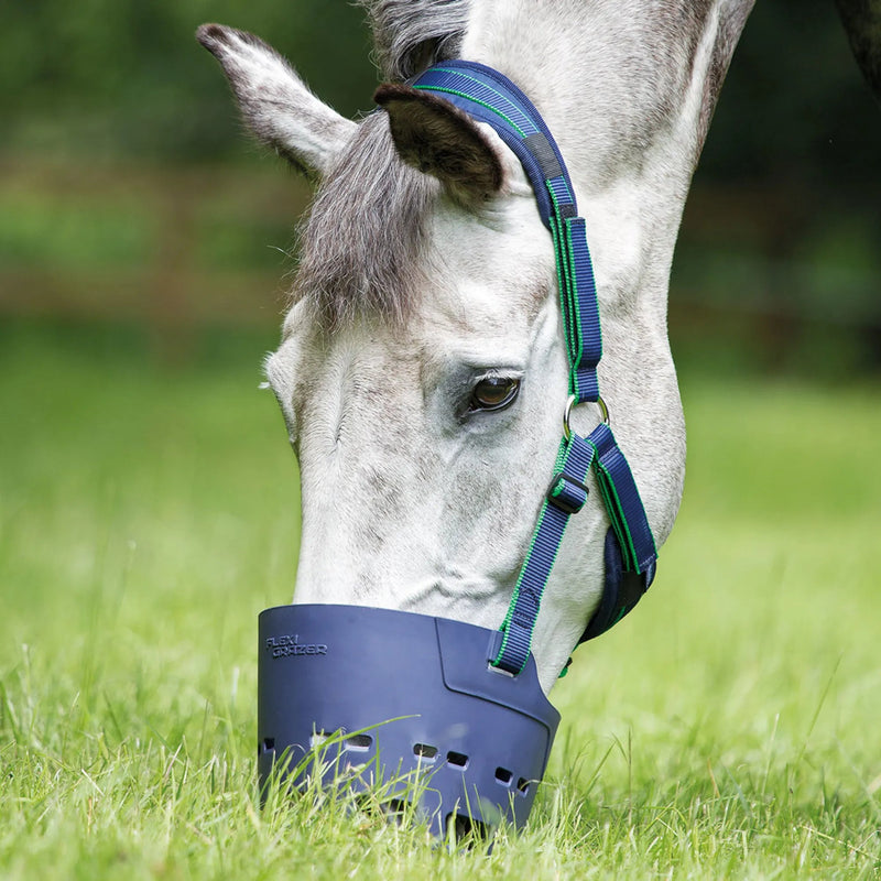 Load image into Gallery viewer, Shires Flexi Grazer Muzzle (Secondhand). - Ashurst Equestrian &amp; Country
