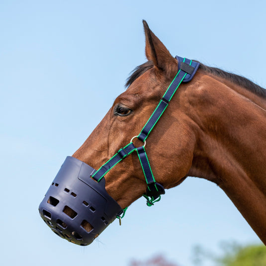 Shires Flexi Grazer Muzzle (Secondhand). - Ashurst Equestrian & Country