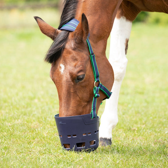 Shires Flexi Grazer Muzzle (Secondhand). - Ashurst Equestrian & Country