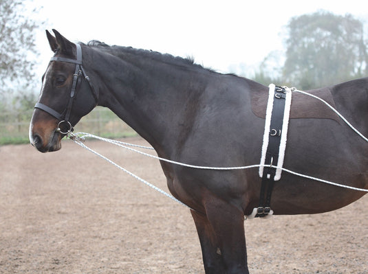 Shires Lunging Aid - Ashurst Equestrian & Country