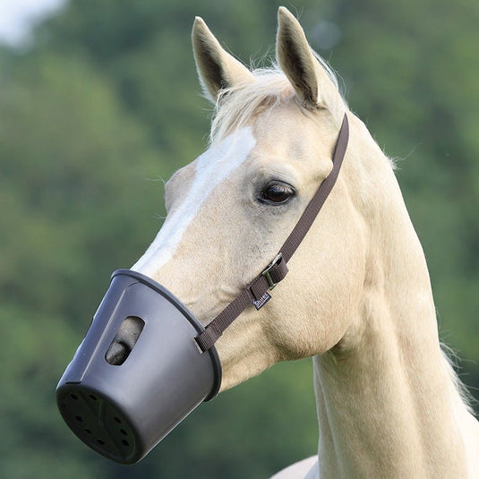 Shires Plastic Muzzle - Ashurst Equestrian & Country