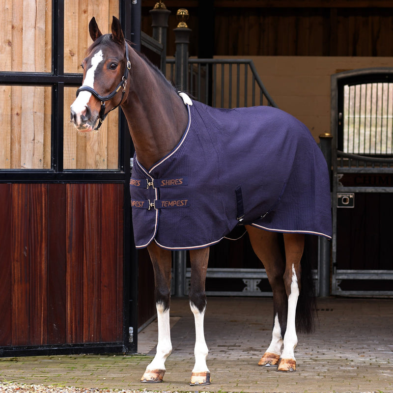 Load image into Gallery viewer, Shires Tempest Original Waffle Rug - Ashurst Equestrian &amp; Country
