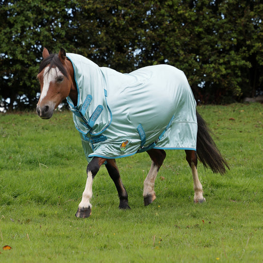 Shires Winnie & Me Fly Combo Rug - Ashurst Equestrian & Country