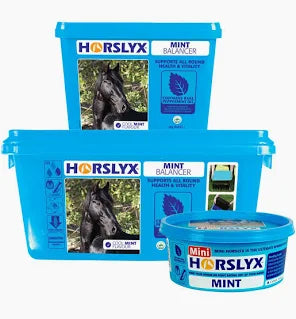 Load image into Gallery viewer, Horslyx Mint Balancer Lick
