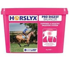 Horslyx Pro Digest Balancer Lick