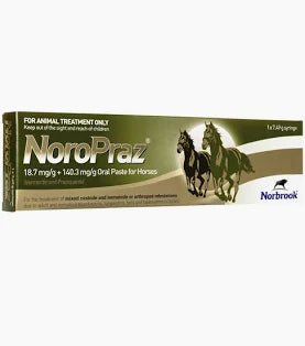 NoroPraz Oral Horse Wormer - 700kg BW Syringe