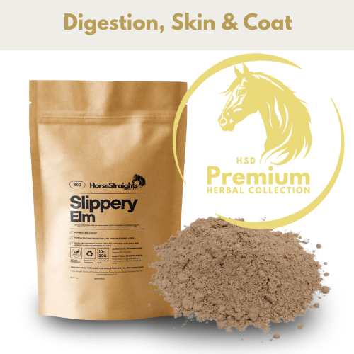 Slippery Elm - Ashurst Equestrian & Country
