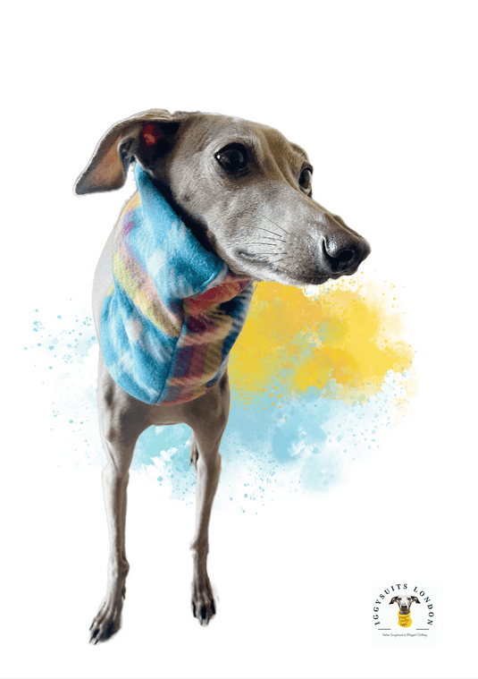 Snoods (Various) - Fleece & Sweatshirt - Ashurst Equestrian & Country