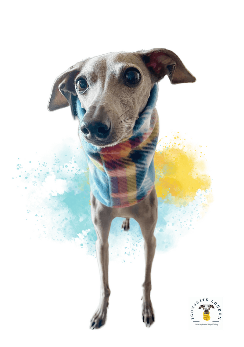 Load image into Gallery viewer, Snoods (Various) - Fleece &amp; Sweatshirt - Ashurst Equestrian &amp; Country
