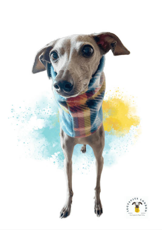 Snoods (Various) - Fleece & Sweatshirt - Ashurst Equestrian & Country