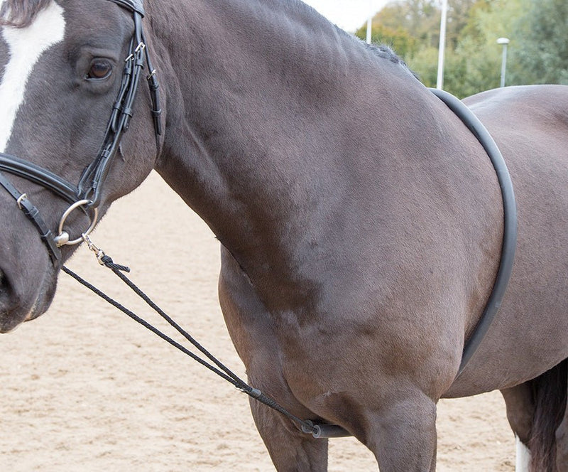 Load image into Gallery viewer, Soft Lunging Aid - Ashurst Equestrian &amp; Country
