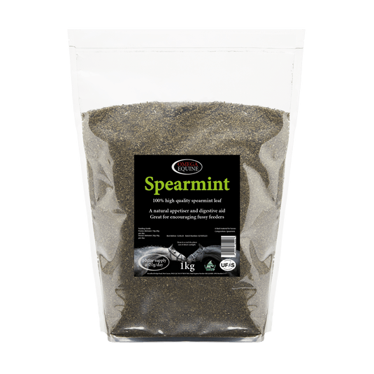 Spearmint - Ashurst Equestrian & Country