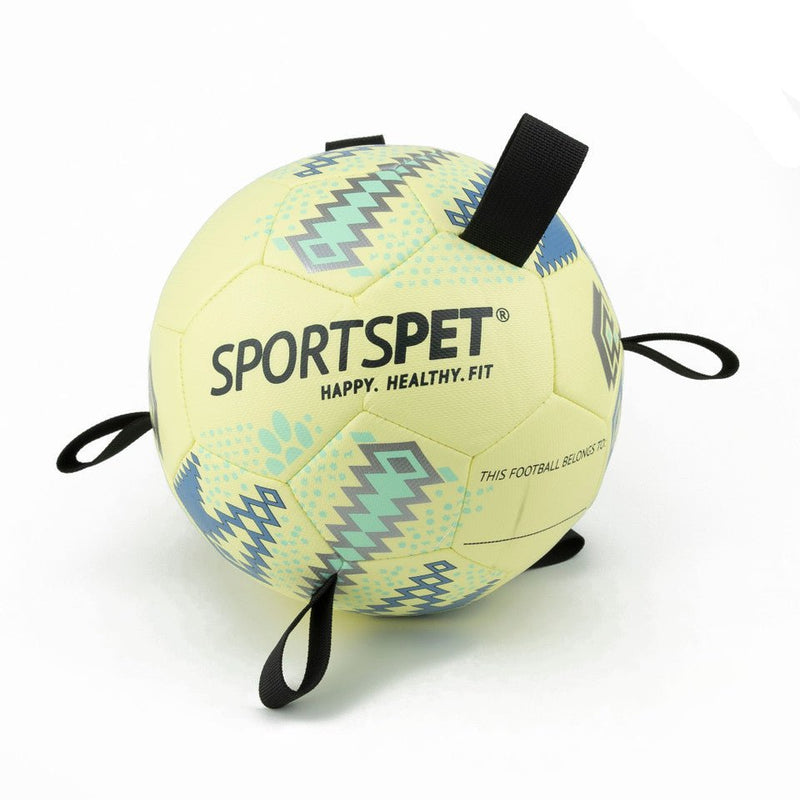 Load image into Gallery viewer, Sportspet Tab Footballs Size 4 - Ashurst Equestrian &amp; Country

