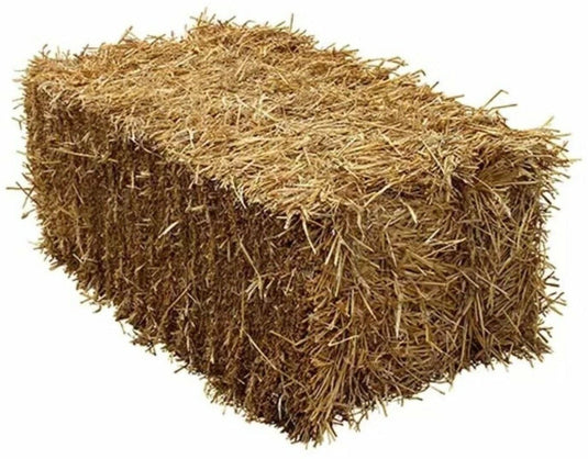Straw - Large Traditional Bale - Ashurst Equestrian & Country