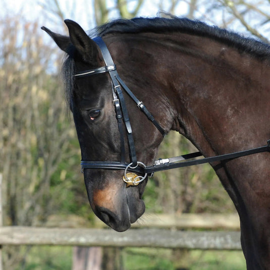 Stubben Golden Wings 4in1 Bit - Ashurst Equestrian & Country