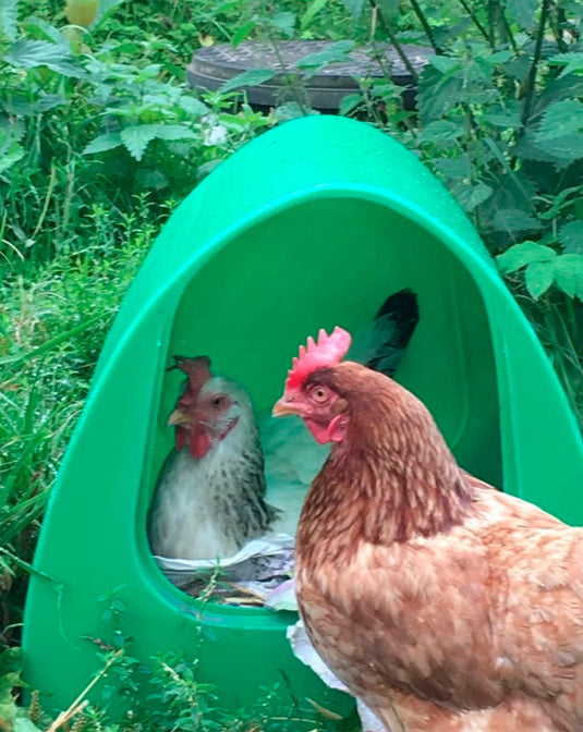 STUBBS Poultry Palace (P500) - Green - Ashurst Equestrian & Country