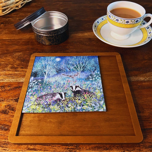 Summer Badgers MINI QT - Ashurst Equestrian & Country