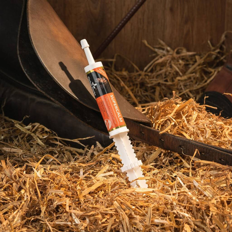 Load image into Gallery viewer, Supercalm Instant Syringe 30ml - Global Herbs - Ashurst Equestrian &amp; Country
