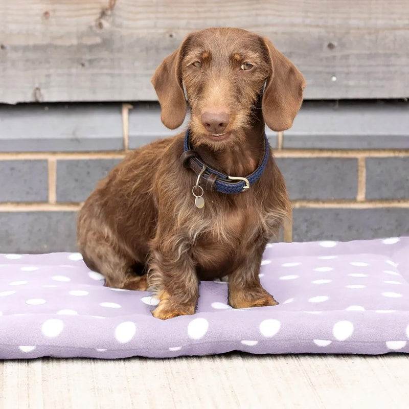 Load image into Gallery viewer, Supreme Products Dotty Fleece Dog Bed Lavish Lilac - Ashurst Equestrian &amp; Country
