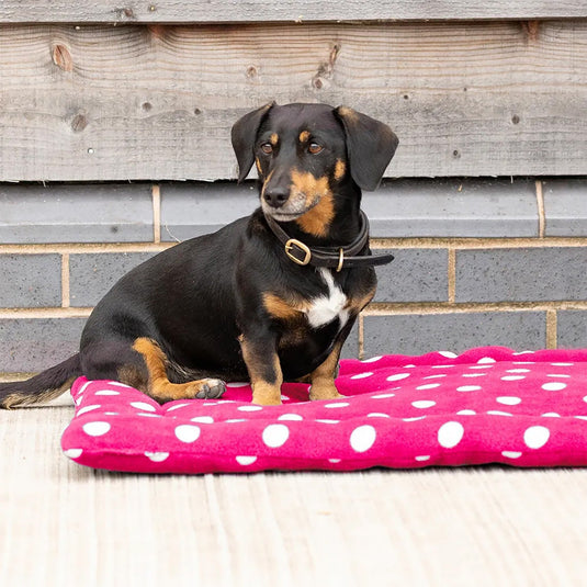 Supreme Products Dotty Fleece Dog Bed Paradise Pink - Ashurst Equestrian & Country