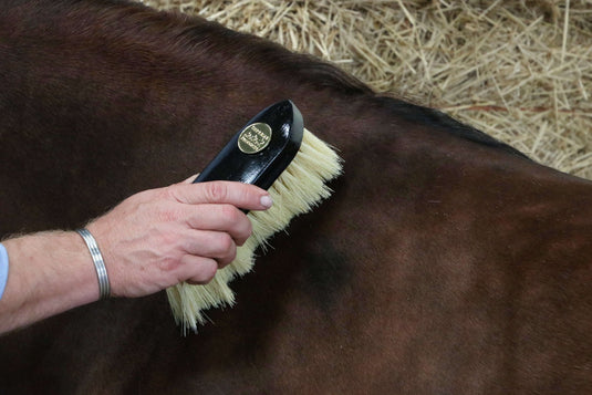 Supreme Products Perfection Flick Brush - Black - Ashurst Equestrian & Country