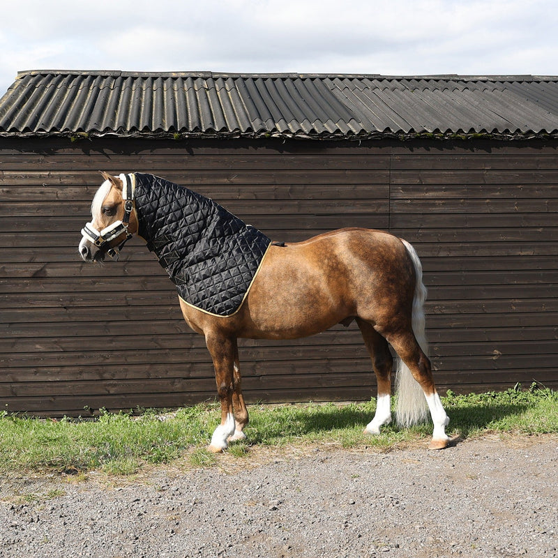Load image into Gallery viewer, Supreme Products Quilted Hood - Ashurst Equestrian &amp; Country
