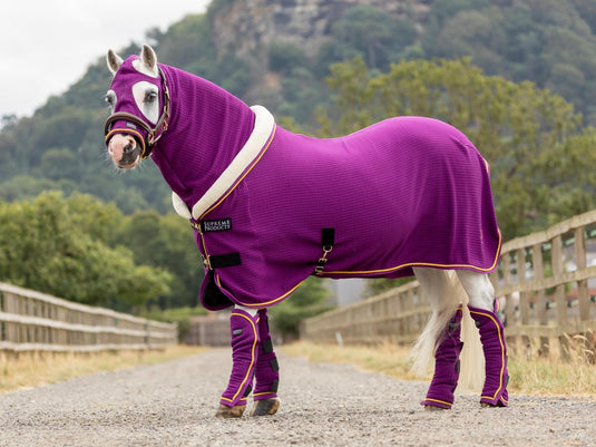 Supreme Products Royal Celebration Show Hood Purple - Ashurst Equestrian & Country