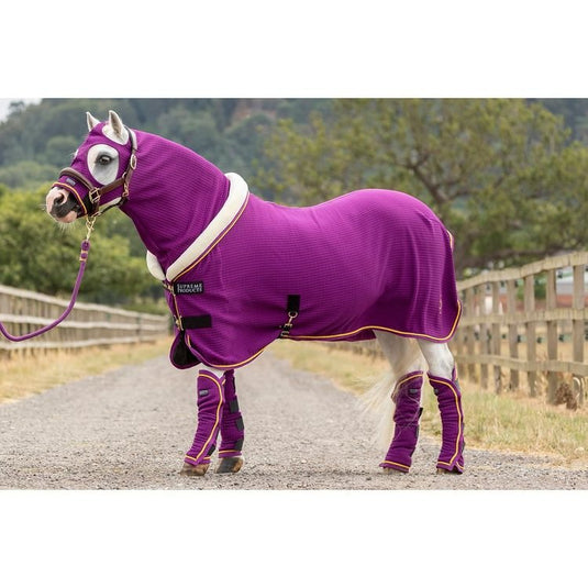 Supreme Products Royal Celebration Show Lead Rope Purple - Ashurst Equestrian & Country