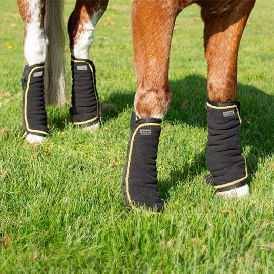 Supreme Products Royal Occasion Boots Black - Ashurst Equestrian & Country