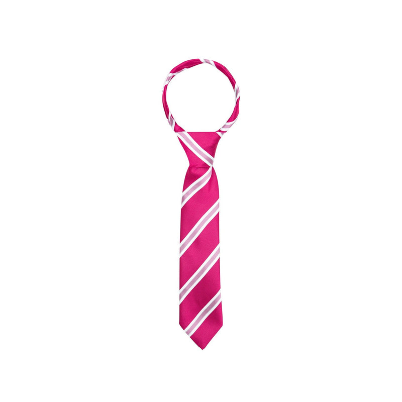 Load image into Gallery viewer, Supreme Products Show Tie Stripe - Ashurst Equestrian &amp; Country
