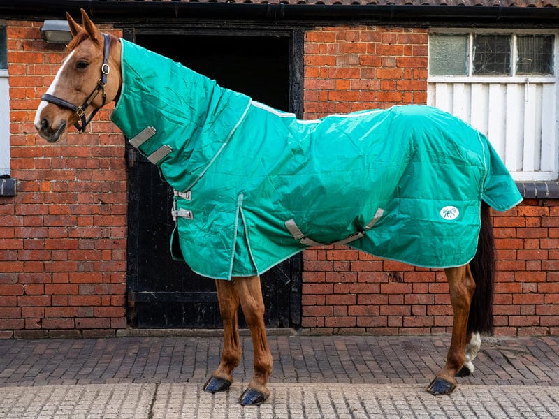 Load image into Gallery viewer, Swish Detach - a - Neck 100g Stable Rug (Secondhand) - Ashurst Equestrian &amp; Country

