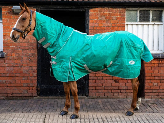 Swish Detach - a - Neck 100g Stable Rug (Secondhand) - Ashurst Equestrian & Country