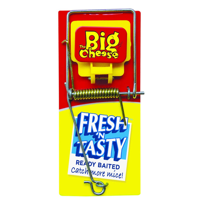The Big Cheese Fresh N Tasty Baited Mouse Trap - Ashurst Equestrian & Country