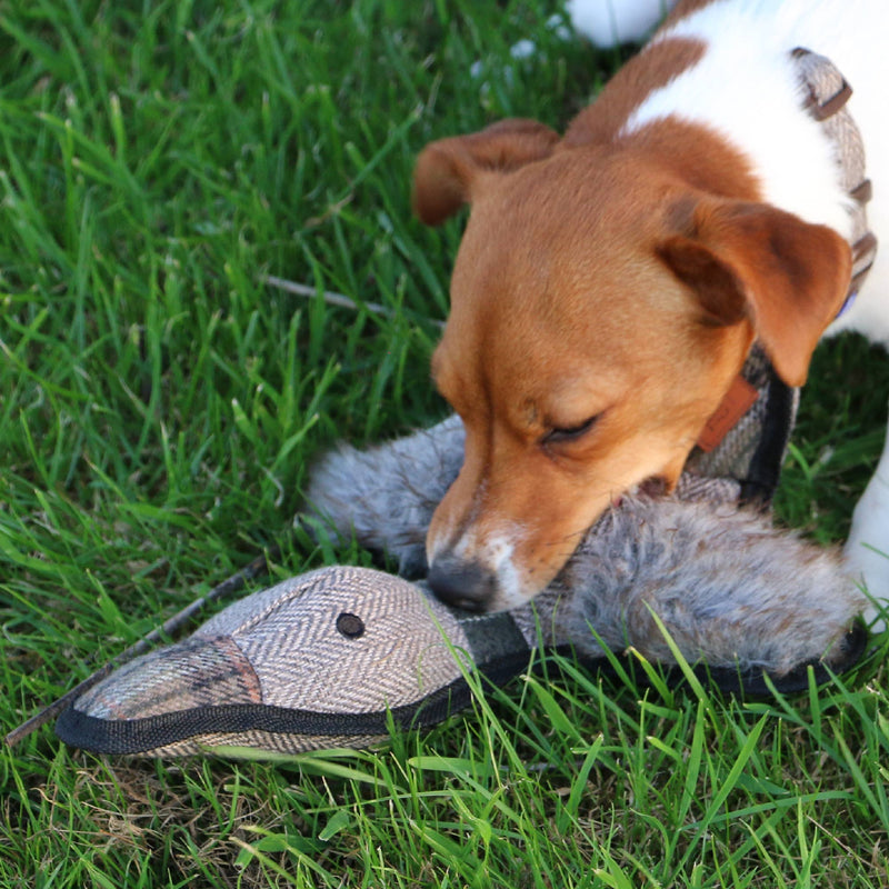 Load image into Gallery viewer, The Heritage Collection Tweed Duck - Ashurst Equestrian &amp; Country
