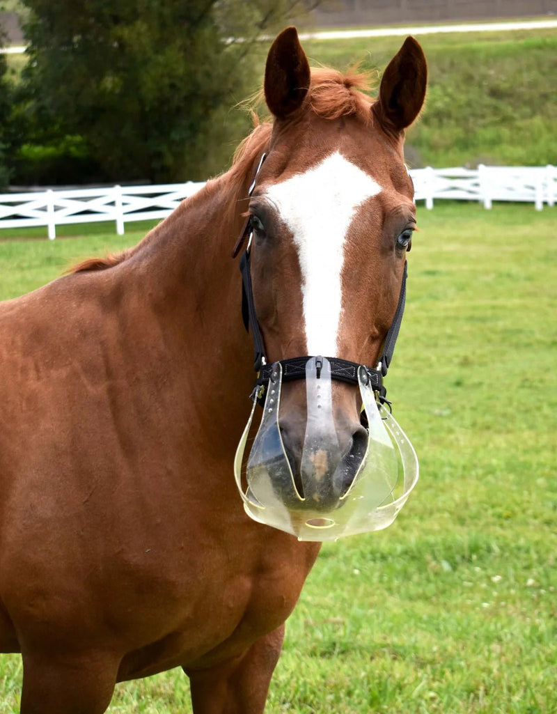 Load image into Gallery viewer, ThinLine Restricted Grazing Muzzle - Ashurst Equestrian &amp; Country
