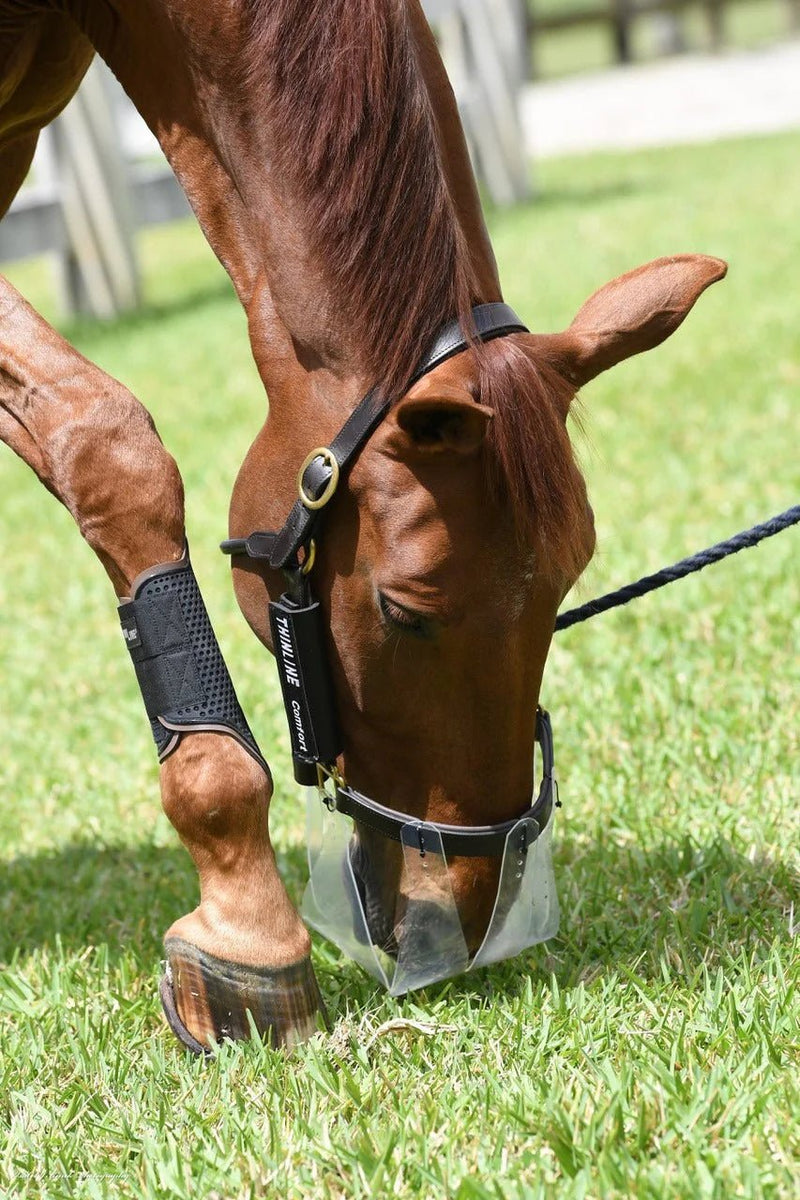 Load image into Gallery viewer, ThinLine Restricted Grazing Muzzle - Ashurst Equestrian &amp; Country
