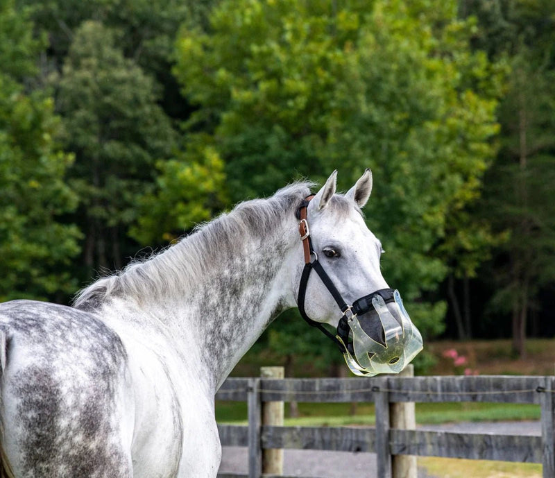 Load image into Gallery viewer, ThinLine Restricted Grazing Muzzle - Ashurst Equestrian &amp; Country
