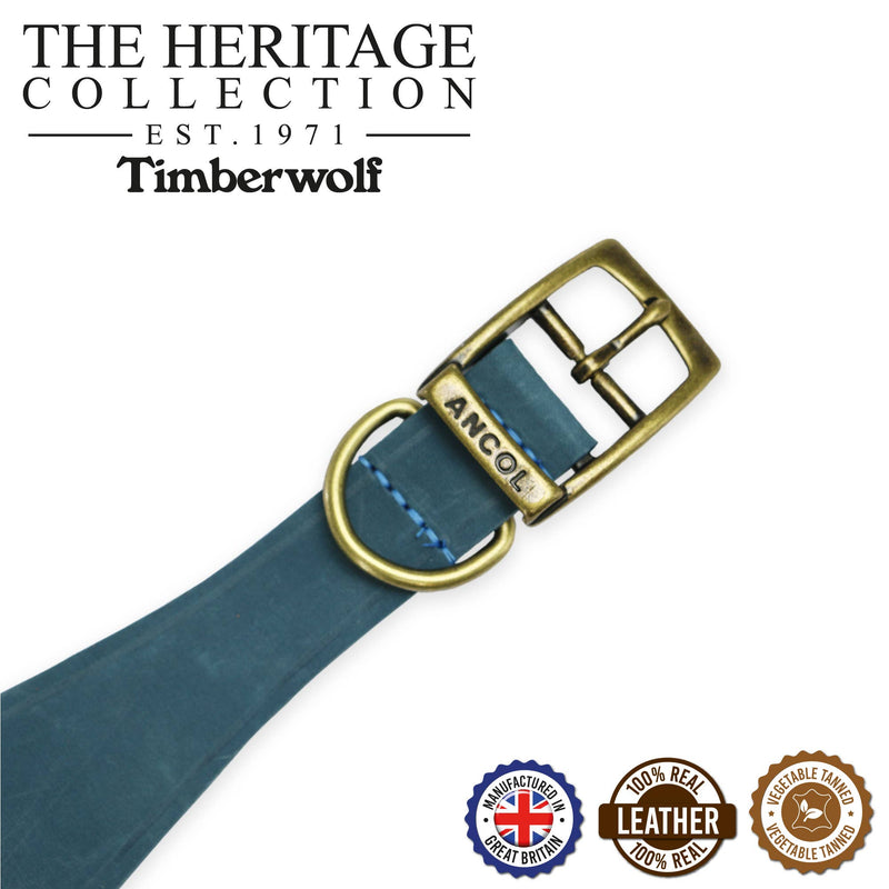 Load image into Gallery viewer, Timberwolf Leather Hound Collar ( Size 30-34cm) - Ashurst Equestrian &amp; Country
