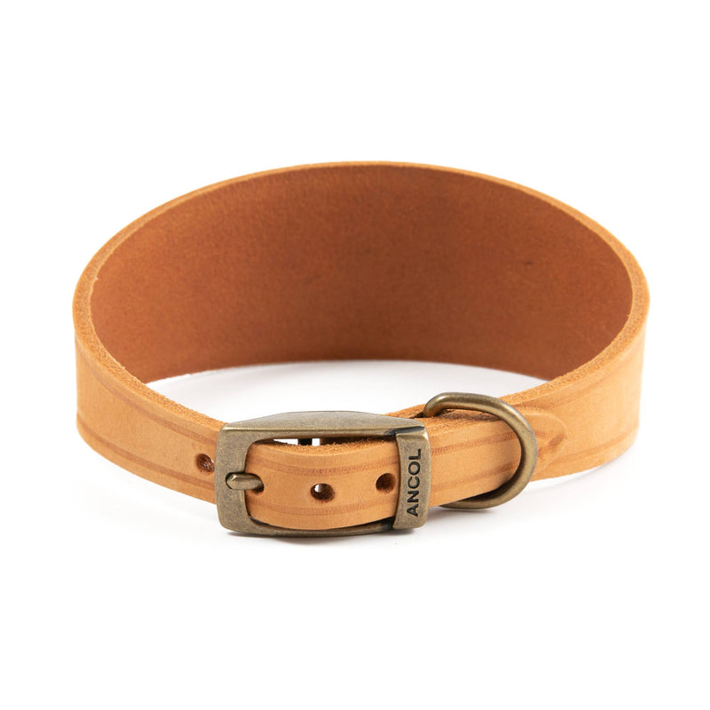 Load image into Gallery viewer, Timberwolf Leather Hound Collar ( Size 30-34cm) - Ashurst Equestrian &amp; Country
