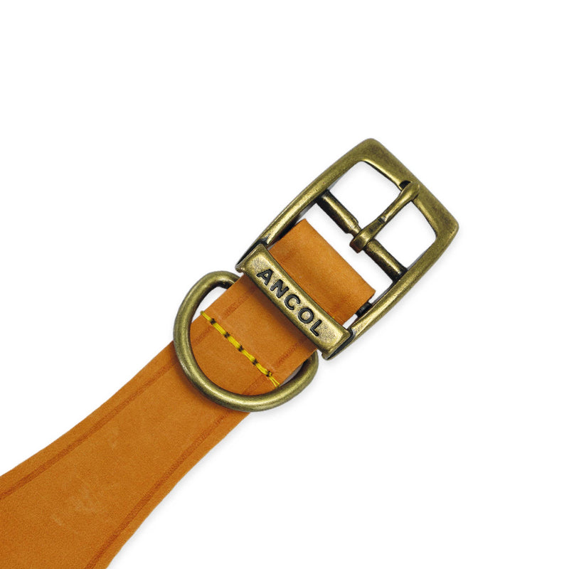 Load image into Gallery viewer, Timberwolf Leather Hound Collar ( Size 30-34cm) - Ashurst Equestrian &amp; Country
