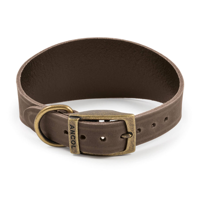 Load image into Gallery viewer, Timberwolf Leather Hound Collar ( Size 30-34cm) - Ashurst Equestrian &amp; Country
