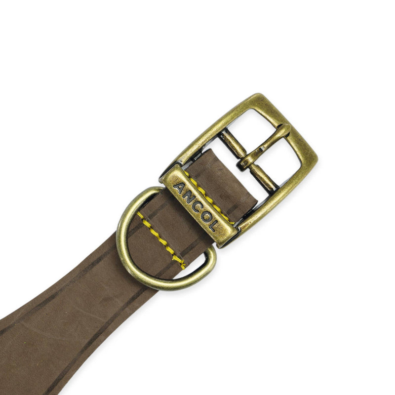 Load image into Gallery viewer, Timberwolf Leather Hound Collar ( Size 30-34cm) - Ashurst Equestrian &amp; Country
