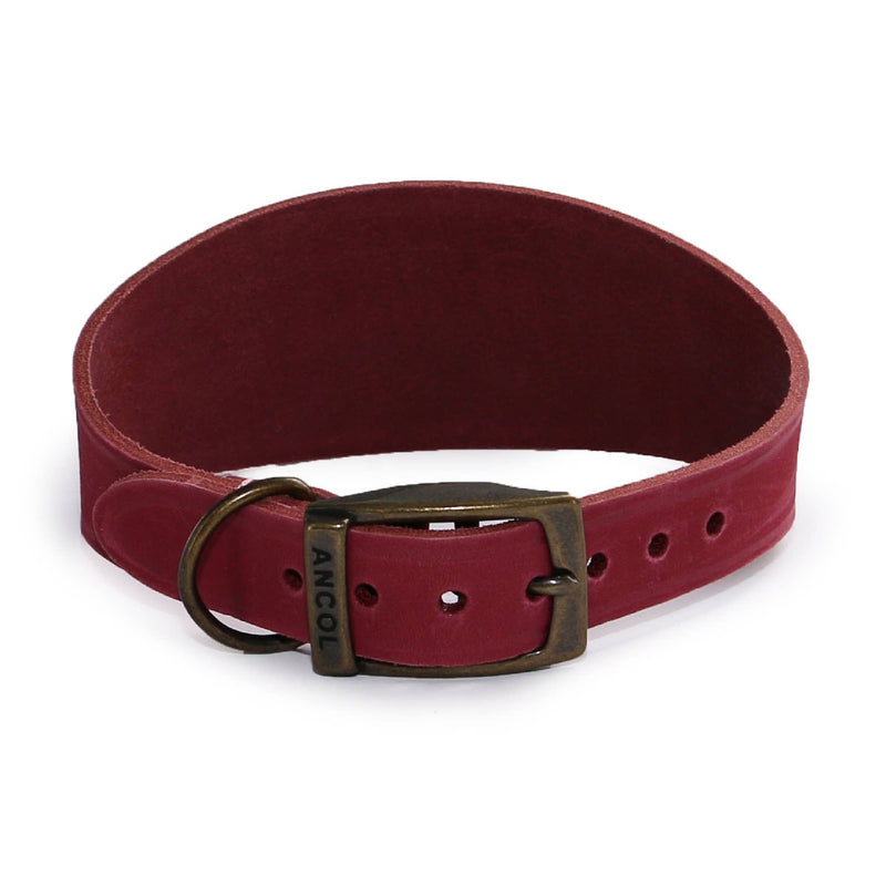Load image into Gallery viewer, Timberwolf Leather Hound Collar ( Size 30-34cm) - Ashurst Equestrian &amp; Country

