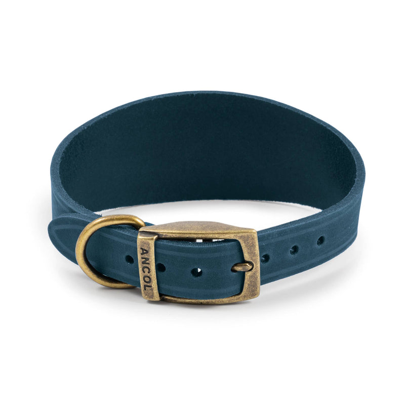 Load image into Gallery viewer, Timberwolf Leather Hound Collar ( Size 30-34cm) - Ashurst Equestrian &amp; Country
