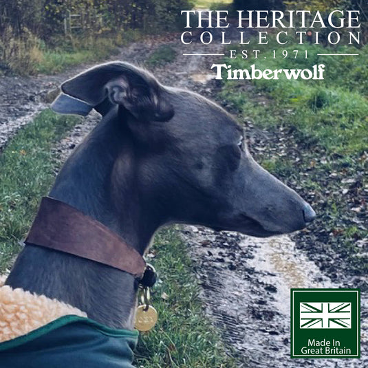 Timberwolf Leather Hound Collar ( Size 30-34cm) - Ashurst Equestrian & Country
