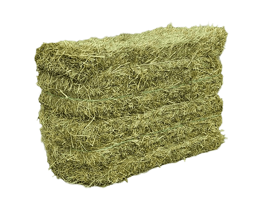 Top Hay Daily - Bulk Meadow Hay - Ashurst Equestrian & Country